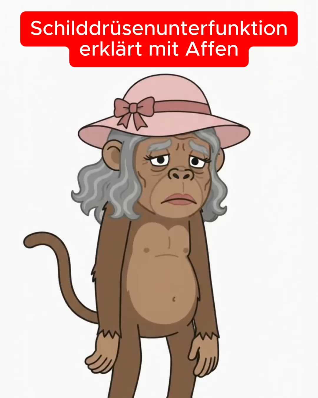 Video Vorschau